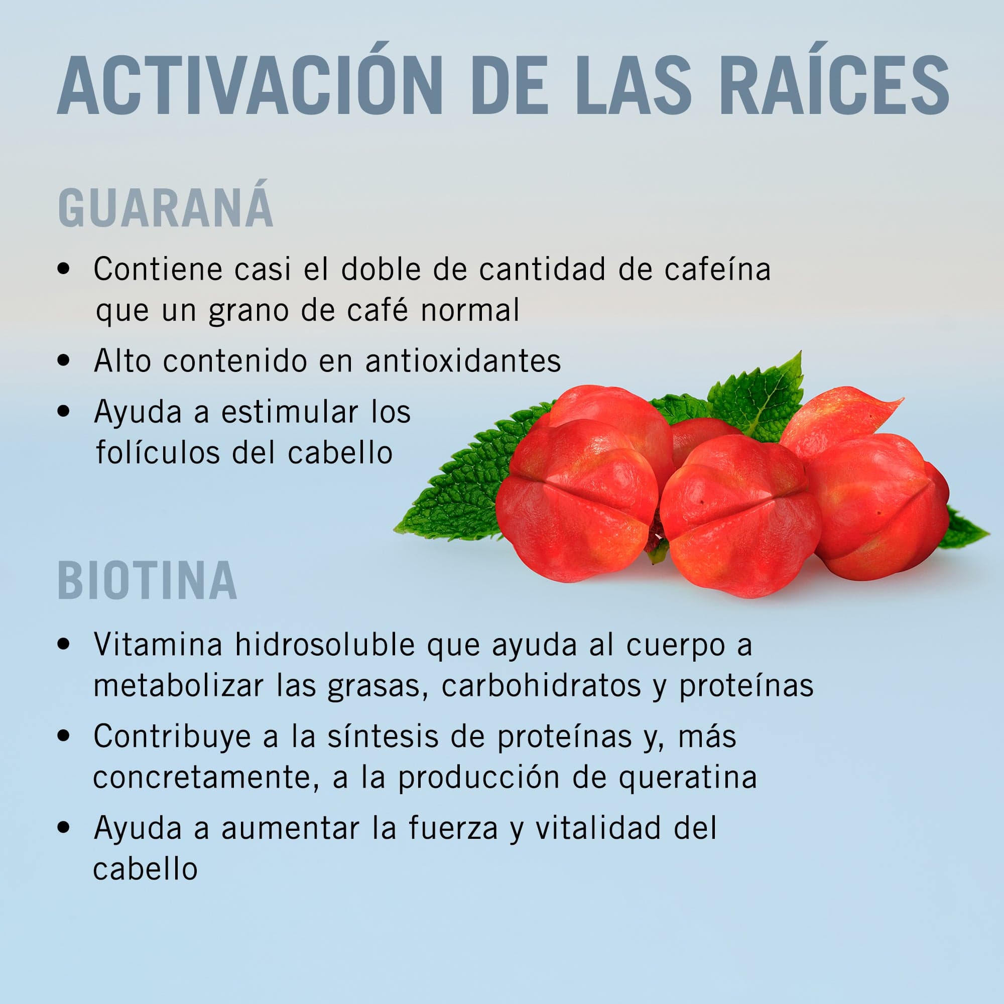 BC Bonacure Shampoo Bonacure Scalp Genesis Champú Activador de Raíces 250ml Roberta Beauty Club Tienda Online Productos de Peluqueria