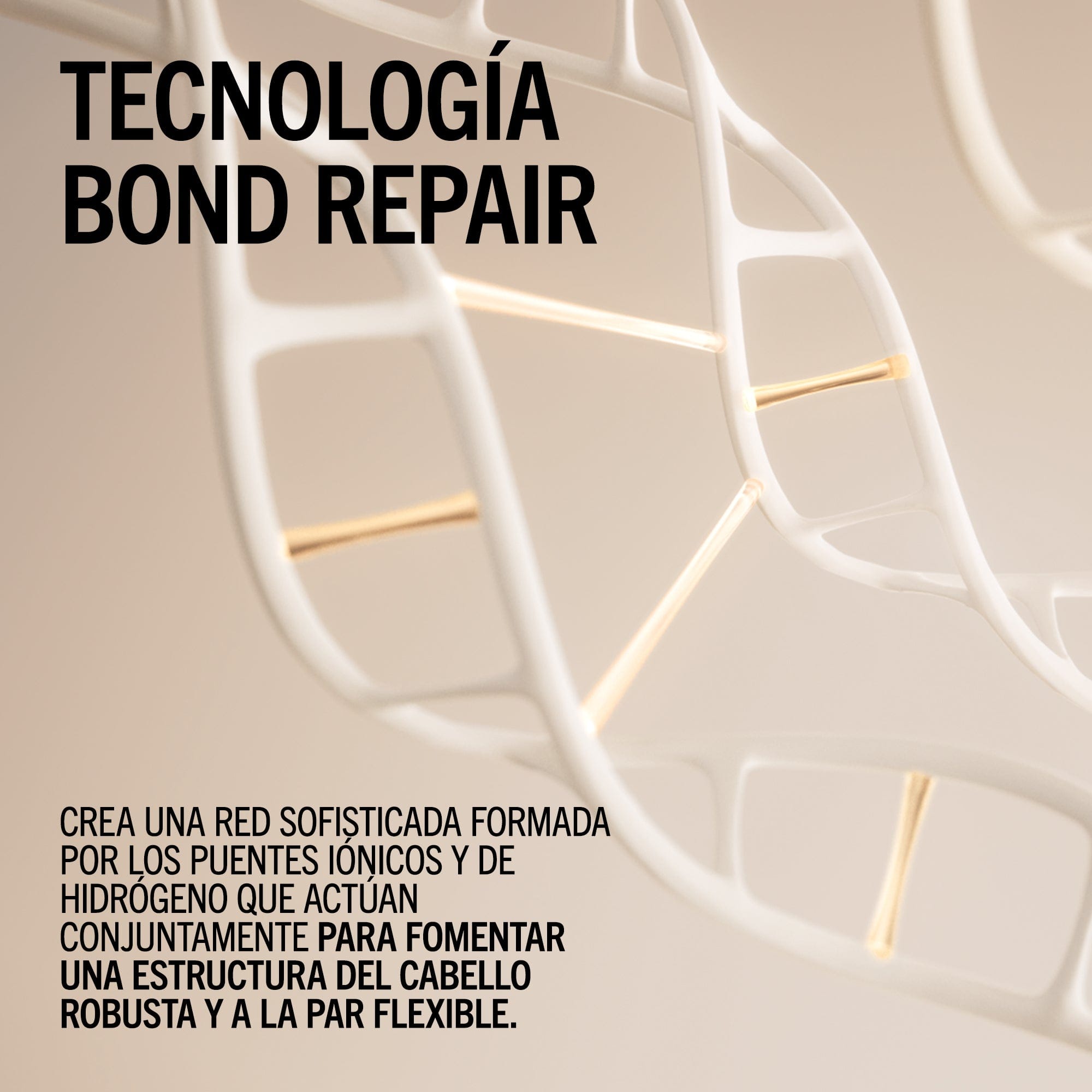 BlondMe Acondicionador Acondicionador Nutritivo Bond Repair de BLONDME 250ml Roberta Beauty Club Tienda Online Productos de Peluqueria