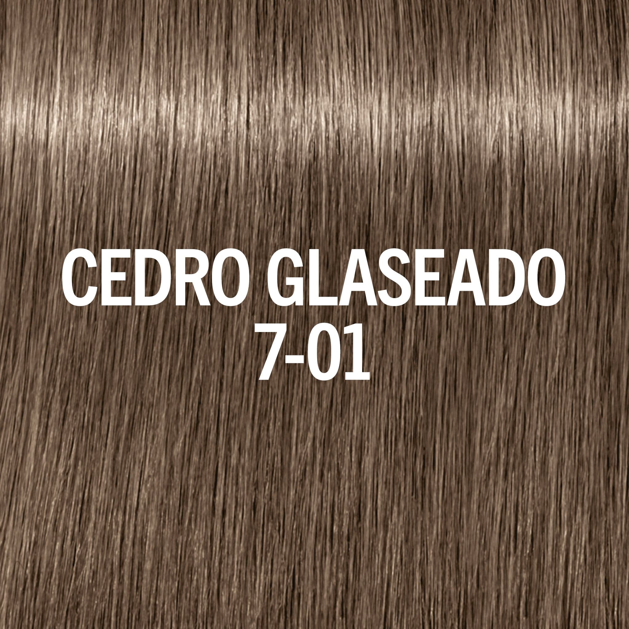 Blondme Tinte Permanente BLONDME Matizador de Brillo, tono Cedro Glaseado 7-01 60ml Roberta Beauty Club Tienda Online Productos de Peluqueria