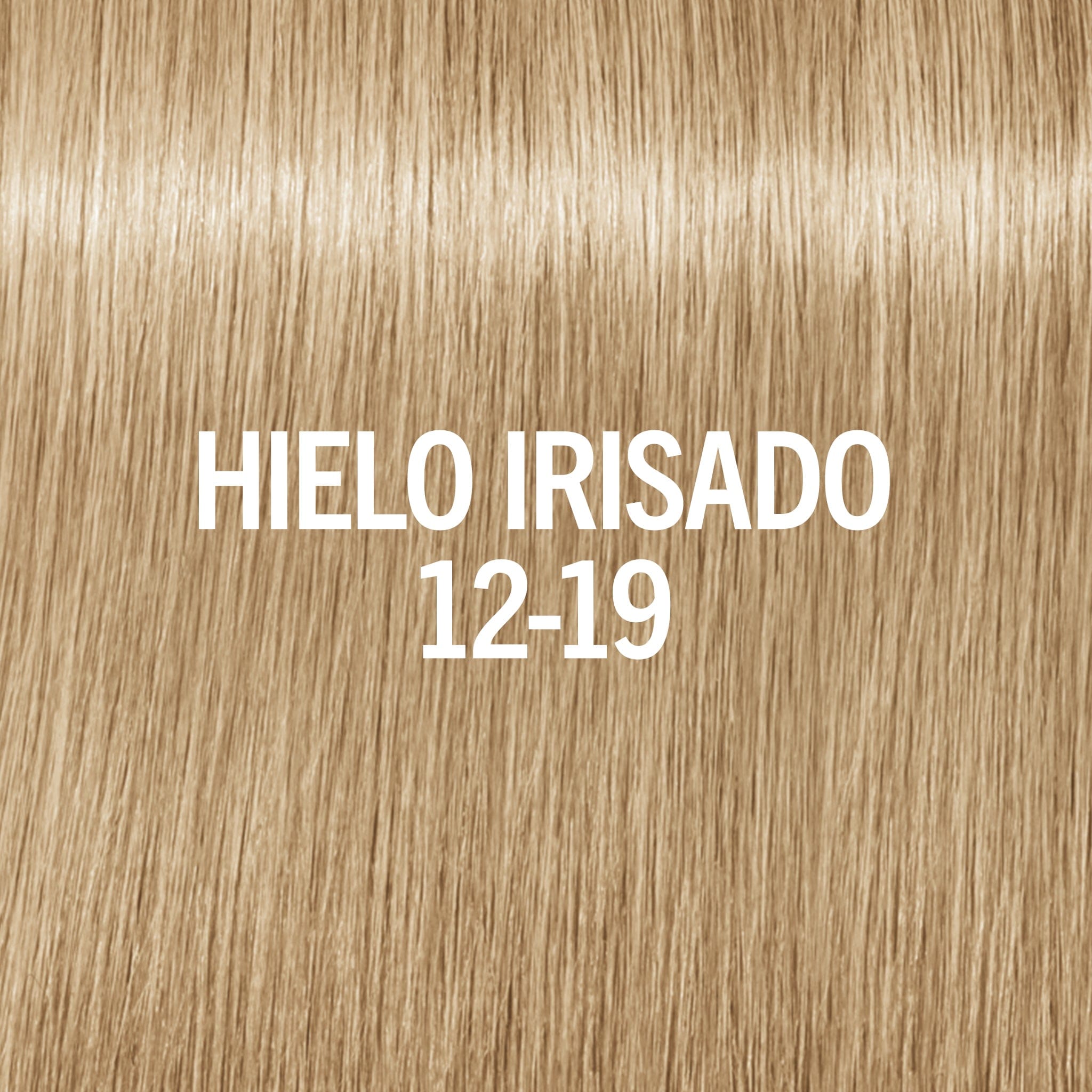 Blondme Tinte Permanente BLONDME Matizador de Brillo, tono Hielo Irisado 9-19 60ml Roberta Beauty Club Tienda Online Productos de Peluqueria