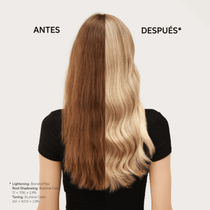 Blondor Decoloración Wella BLONDOR PLEX MULTI POWDER Decoloración 400ml Roberta Beauty Club Tienda Online Productos de Peluqueria