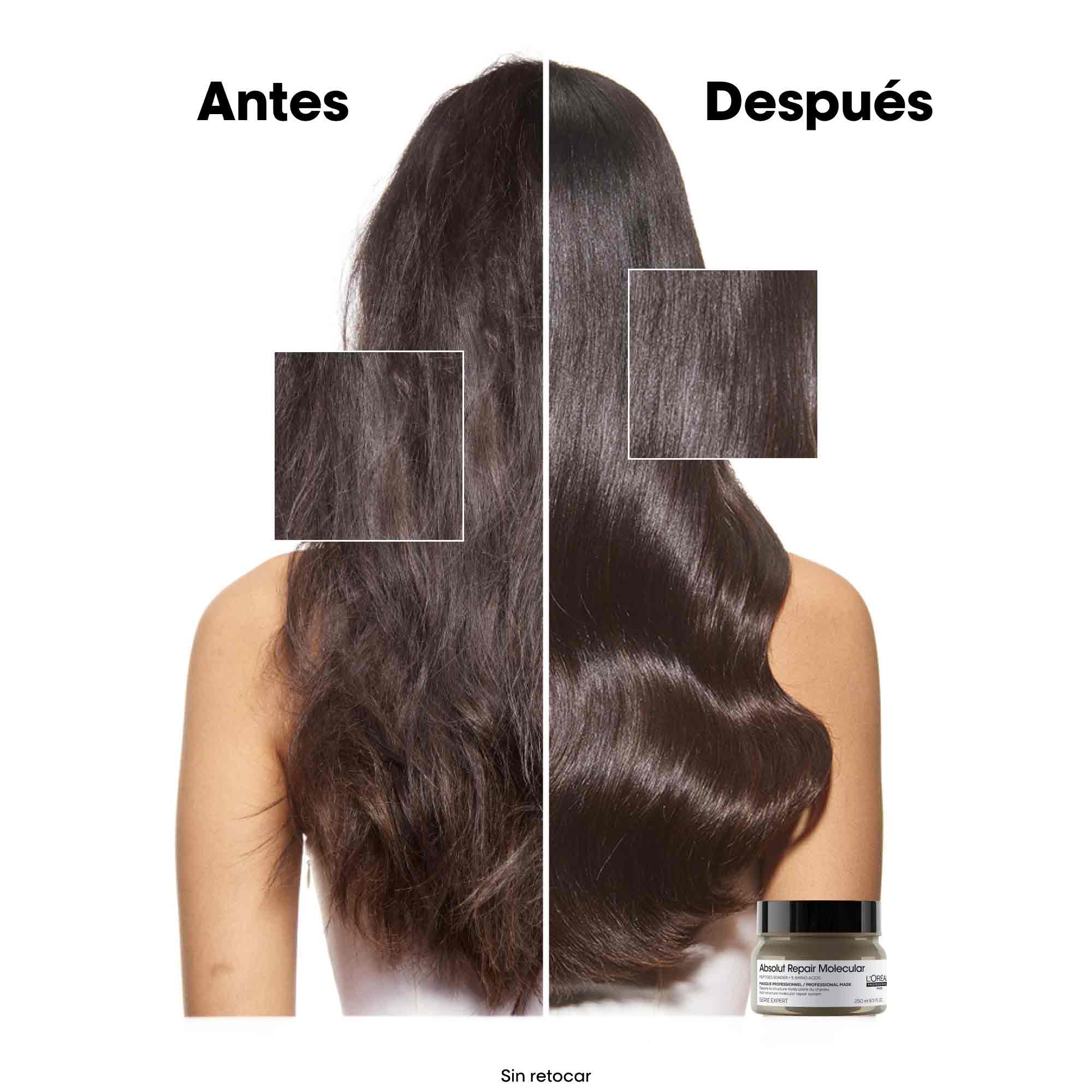 L'Oréal Professionnel Mascarilla Capilar Absolut Repair Molecular Mascarilla 250ml Roberta Beauty Club Tienda Online Productos de Peluqueria