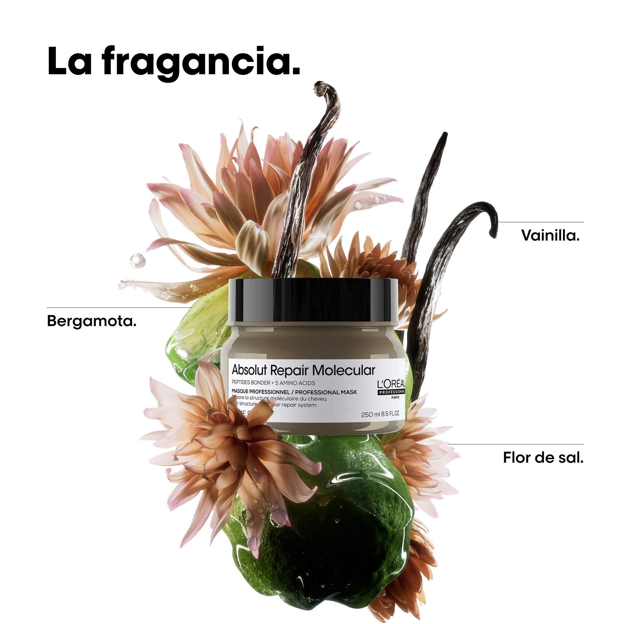 L'Oréal Professionnel Mascarilla Capilar Absolut Repair Molecular Mascarilla 250ml Roberta Beauty Club Tienda Online Productos de Peluqueria