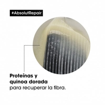 L'Oréal Professionnel Shampoo Champú Absolut Repair Gold 1500ml Roberta Beauty Club Tienda Online Productos de Peluqueria