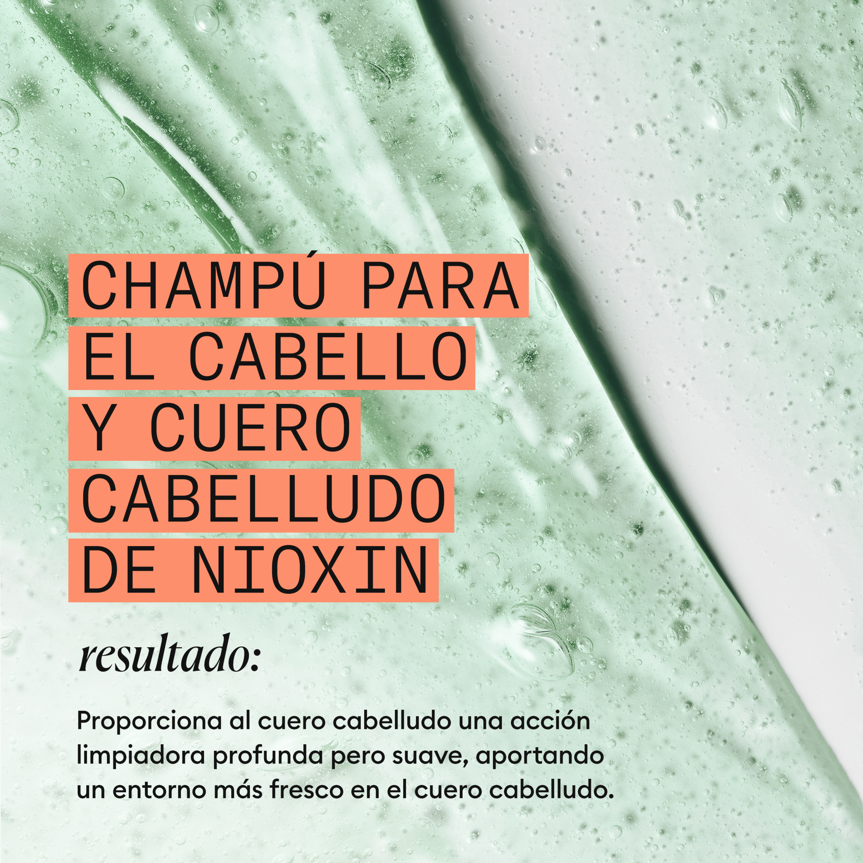 Nioxin Champú SYSTEM 4 CLEANSER Champú Step 1 Cabello Teñido 300ml Roberta Beauty Club Tienda Online Productos de Peluqueria