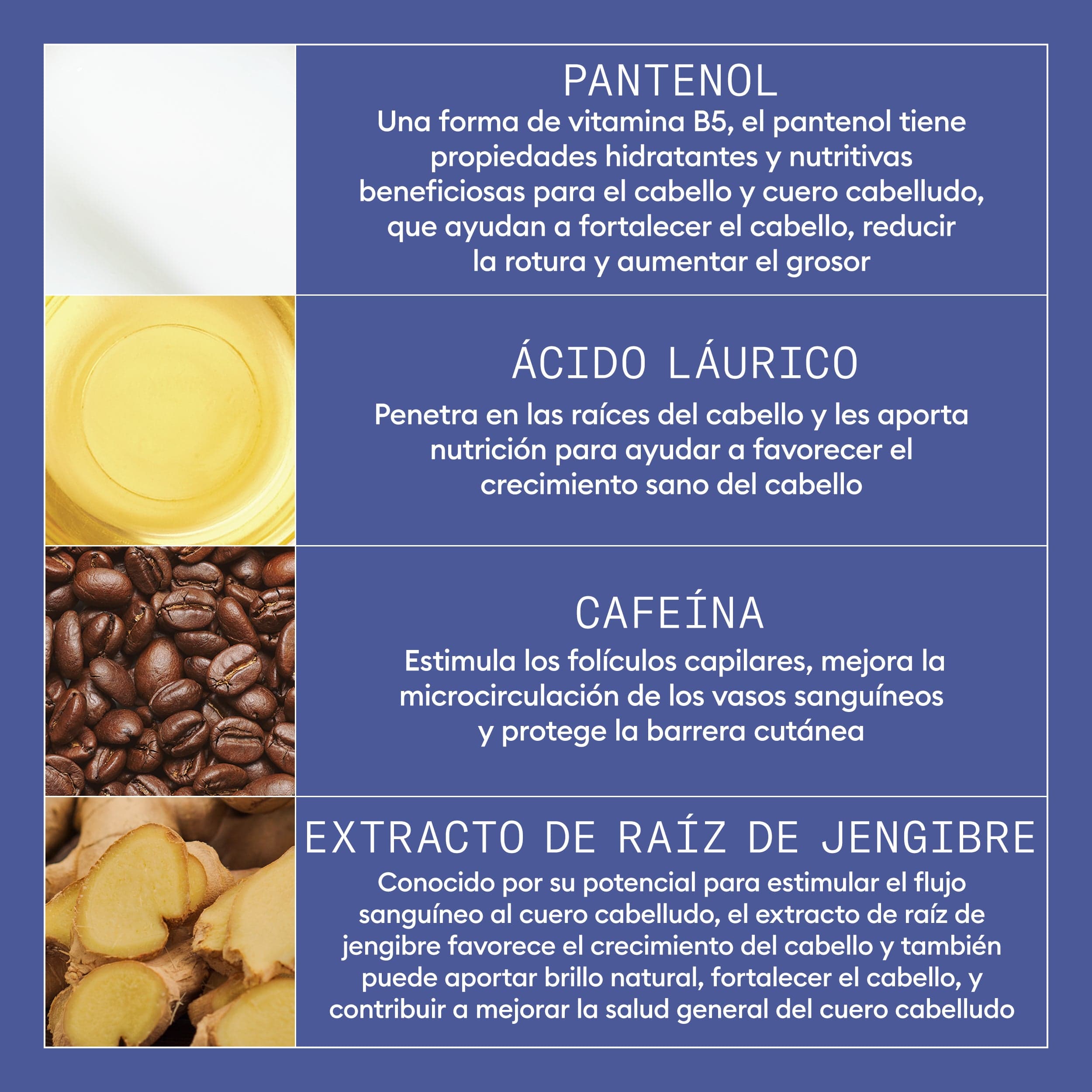 Nioxin Tratamiento Nioxin Night Density Rescue 70ml Roberta Beauty Club Tienda Online Productos de Peluqueria