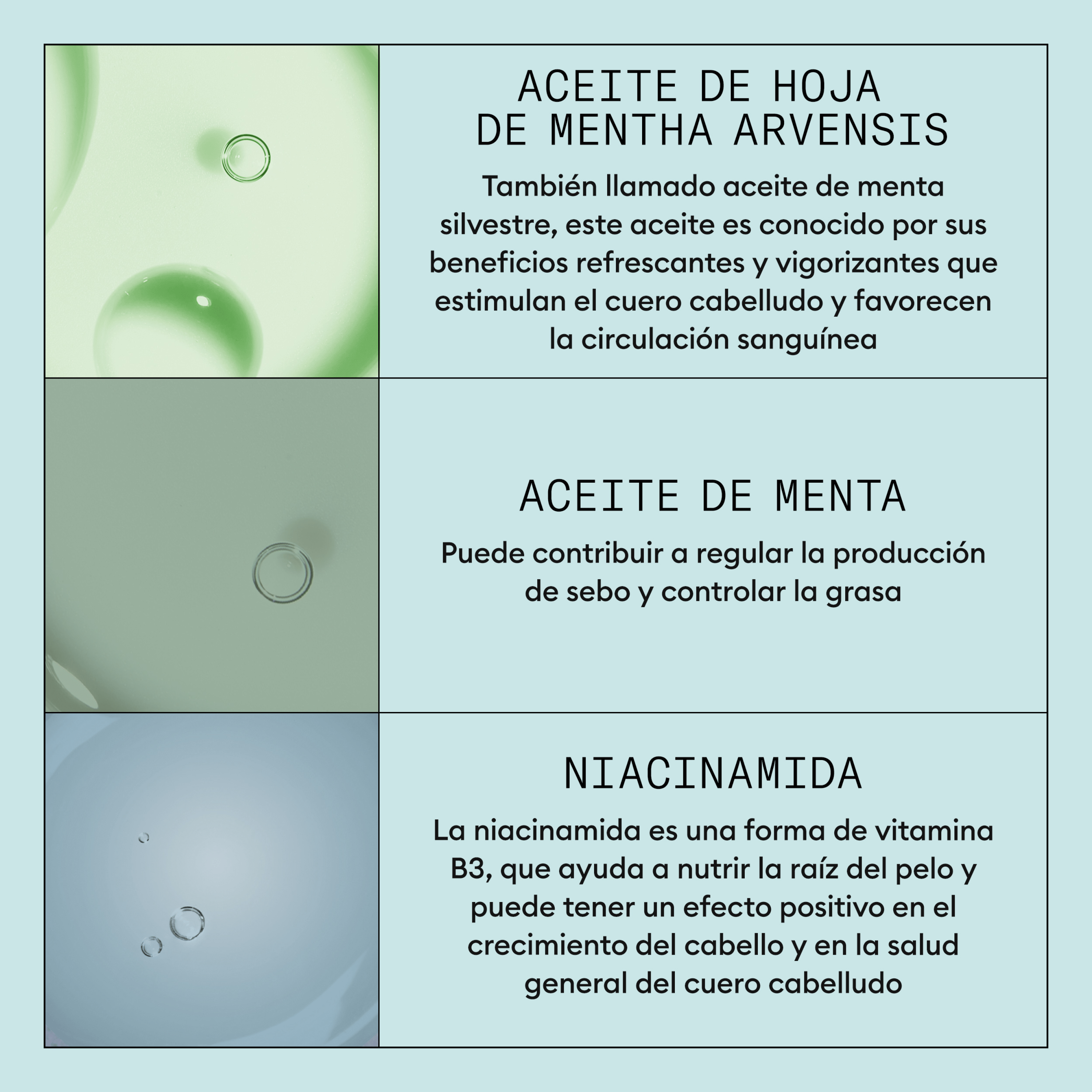 Nioxin Tratamiento SYSTEM Kit SCALP RECOVERY Champú 200ml + Acondicionador 200ml + Tratamiento 100ml Roberta Beauty Club Tienda Online Productos de Peluqueria