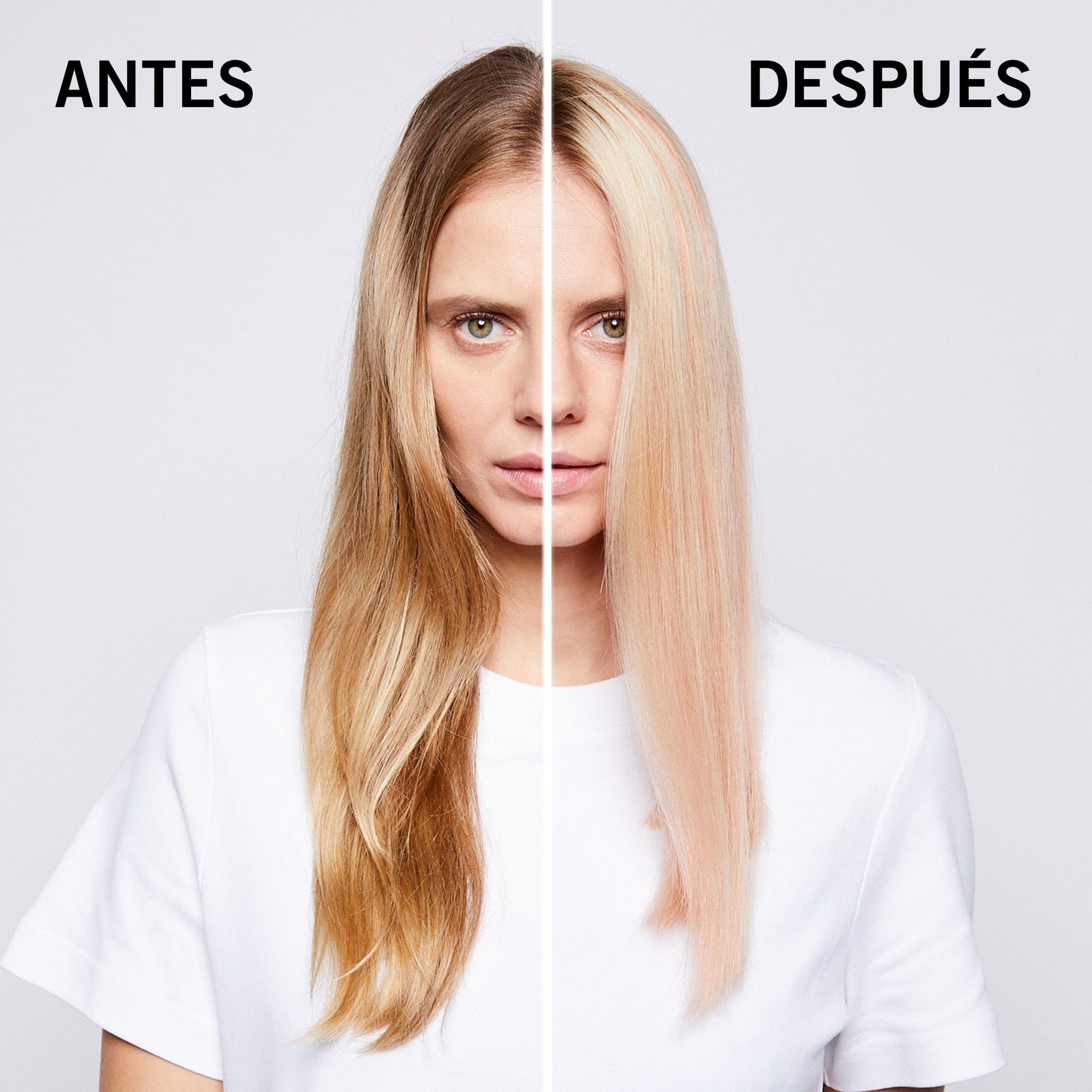 7 Vol. 1000ml Roberta Beauty Club Tienda Online Productos de Peluqueria