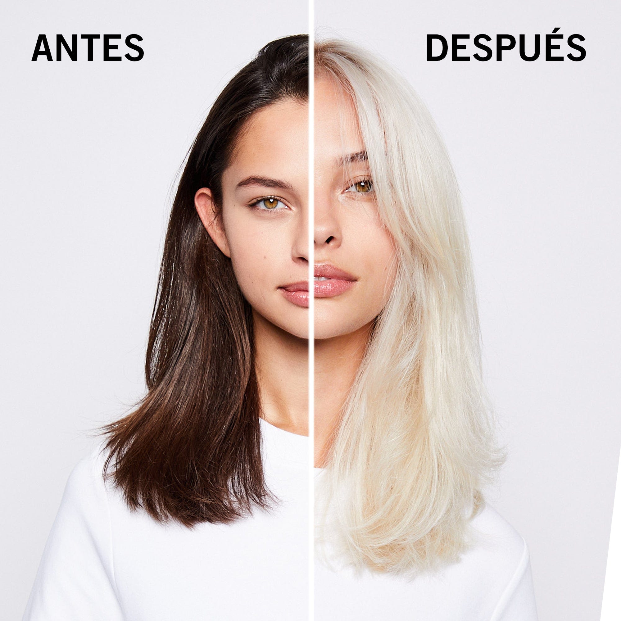 BLONDME Decoloración BLONDME Decoloración y Matización Aditivo Violeta 60 ml Roberta Beauty Club Tienda Online Productos de Peluqueria