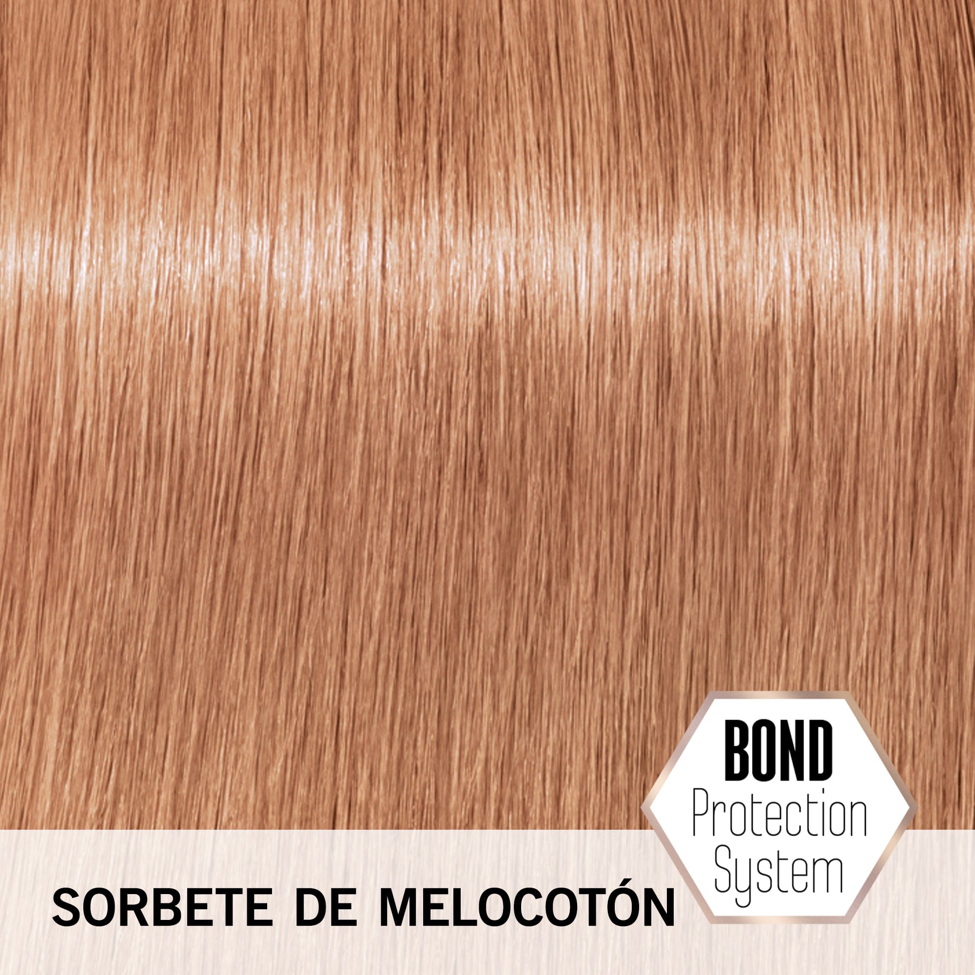 BLONDME Matiz BLONDME Matización Intensa Tono Sorbete de Melocotón 60ml Roberta Beauty Club Tienda Online Productos de Peluqueria