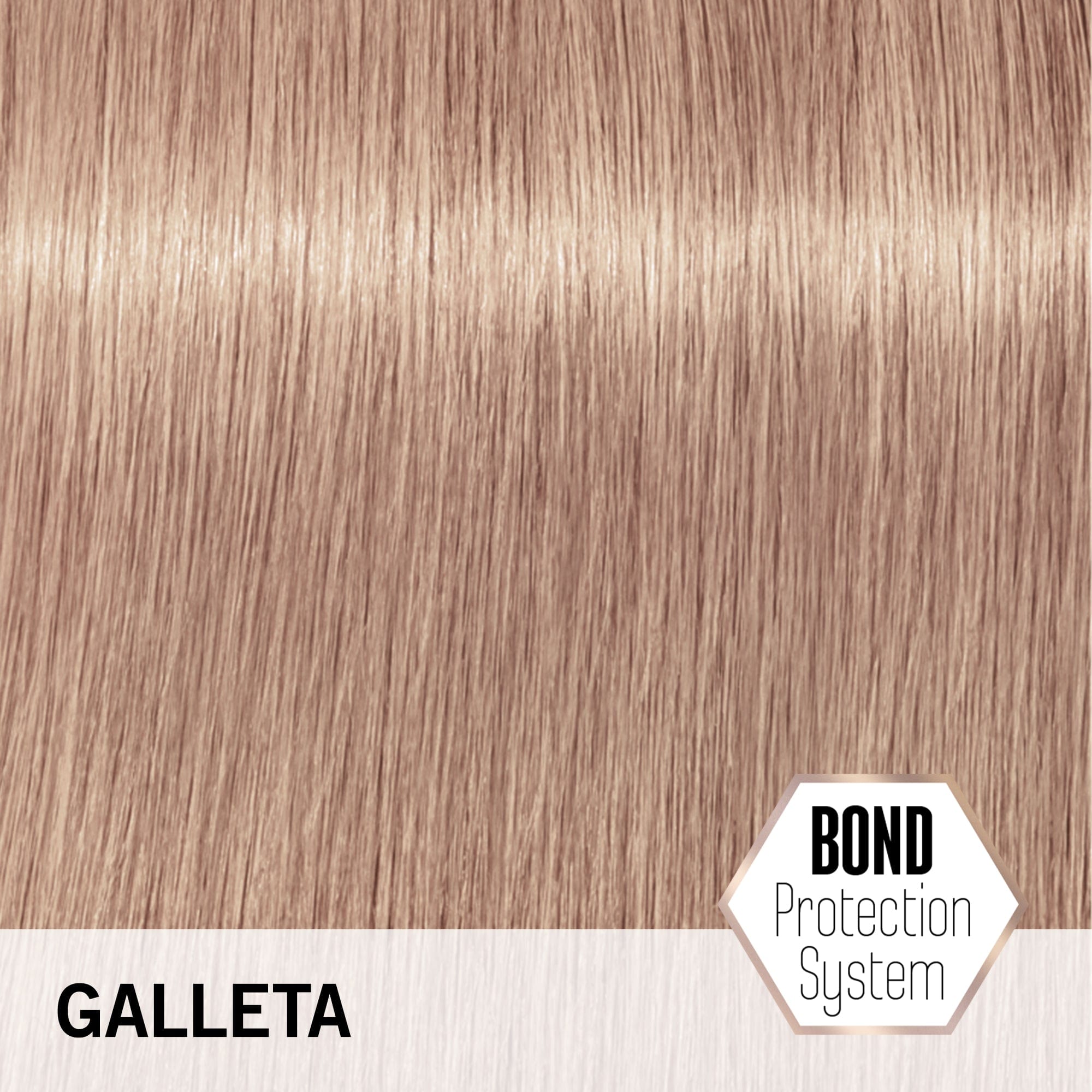 BLONDME Matiz BLONDME Matización Pastel Tono Galleta 60ml Roberta Beauty Club Tienda Online Productos de Peluqueria