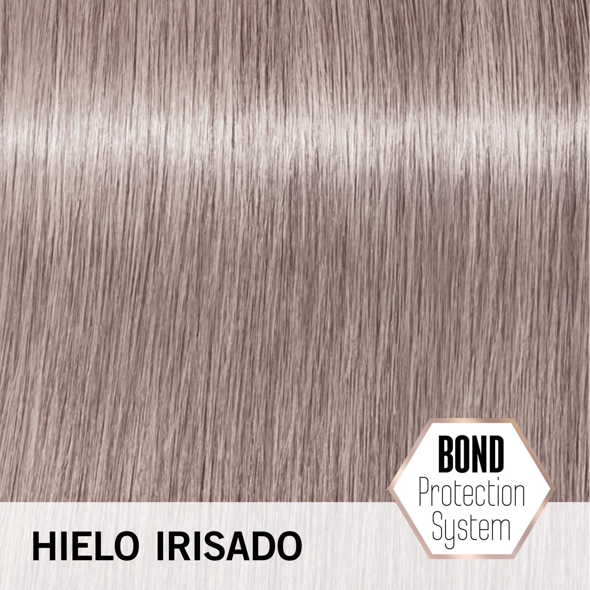 BLONDME Matiz BLONDME Matización Pastel Tono Hielo Irisado 60ml Roberta Beauty Club Tienda Online Productos de Peluqueria