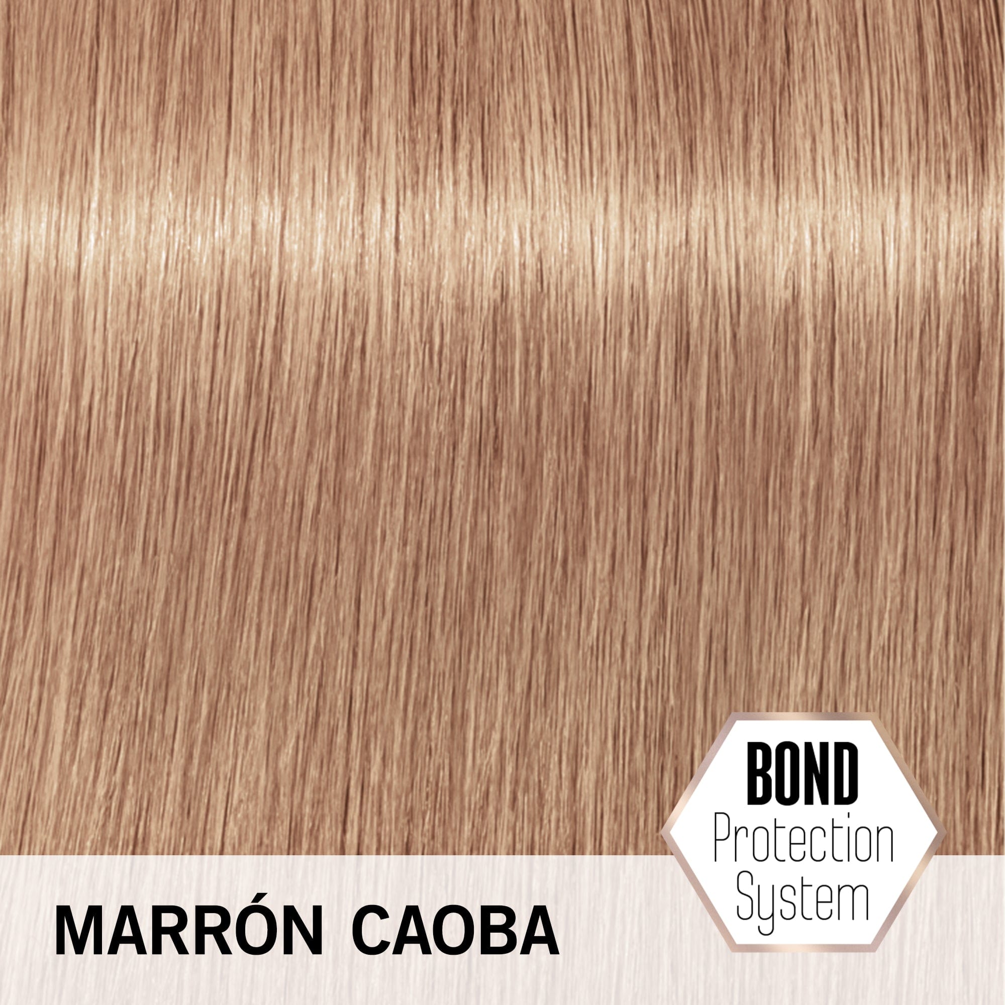 BLONDME Matiz BLONDME Matización Pastel Tono Marrón Caoba 60ml Roberta Beauty Club Tienda Online Productos de Peluqueria