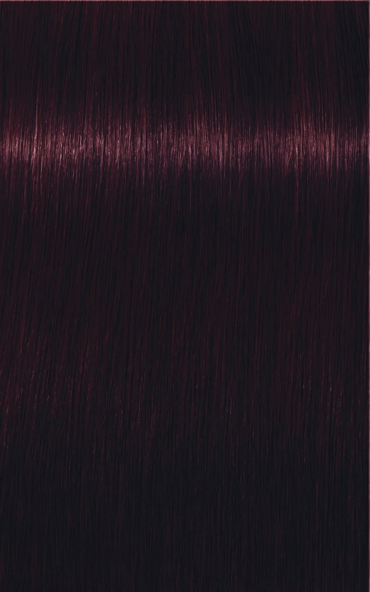 Igora Tinte IGORA ROYAL 4-99 Castaño Medio Violeta Intenso 60ml Roberta Beauty Club Tienda Online Productos de Peluqueria