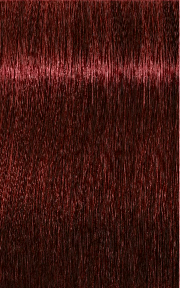Igora Tinte IGORA ROYAL 5-88 Castaño Claro Rojo Intenso 60ml Roberta Beauty Club Tienda Online Productos de Peluqueria