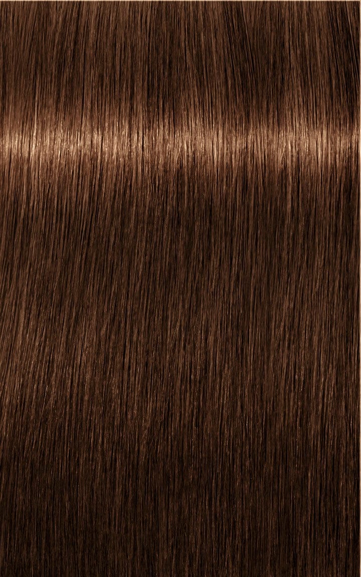 Igora Tinte IGORA ROYAL Absolutes Age Blend 6-460 Rubio Oscuro Beige Chocolate Natural 60ml Roberta Beauty Club Tienda Online Productos de Peluqueria
