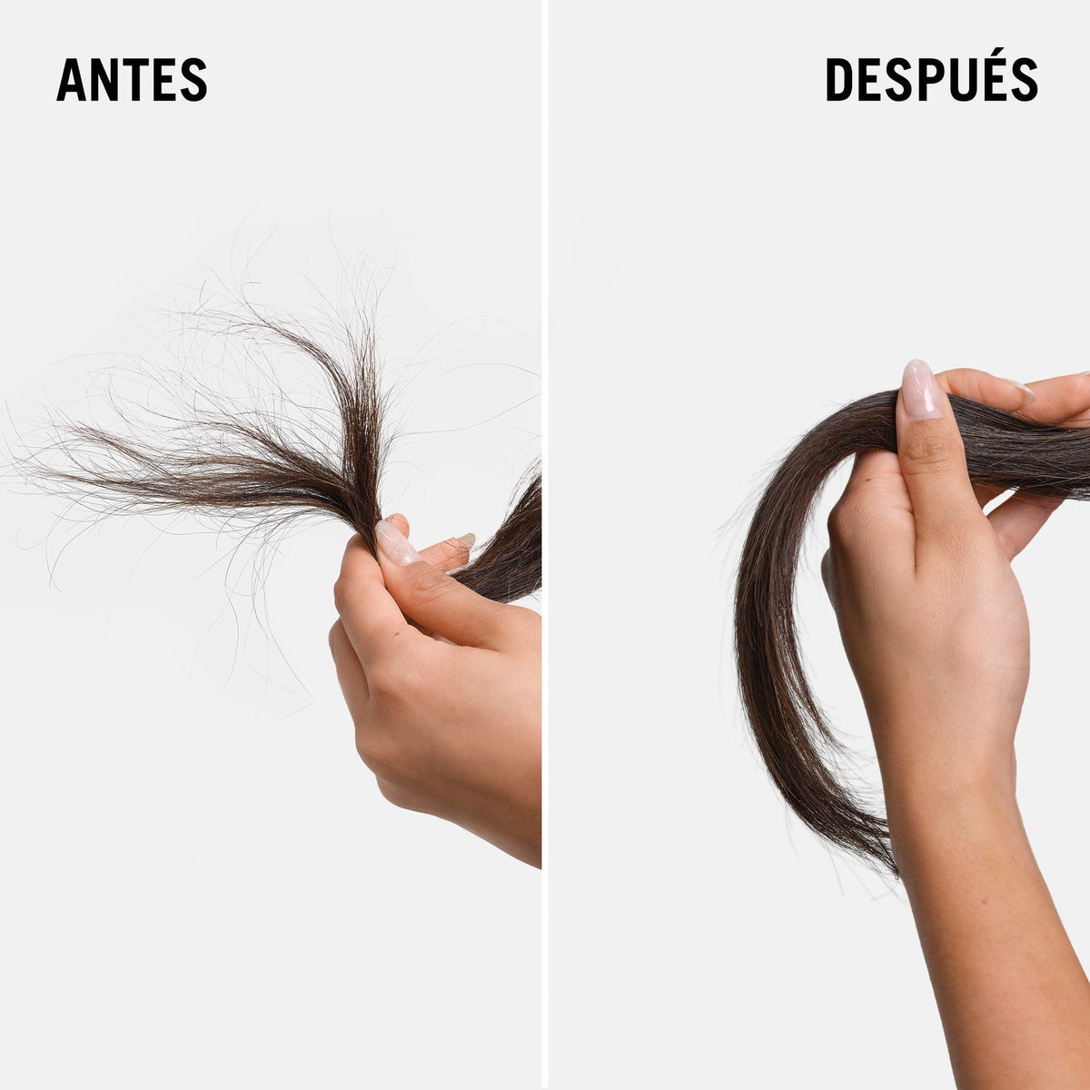 BC Bonacure Shampoo Bonacure Repair Rescue Champú 500ml Roberta Beauty Club Tienda Online Productos de Peluqueria