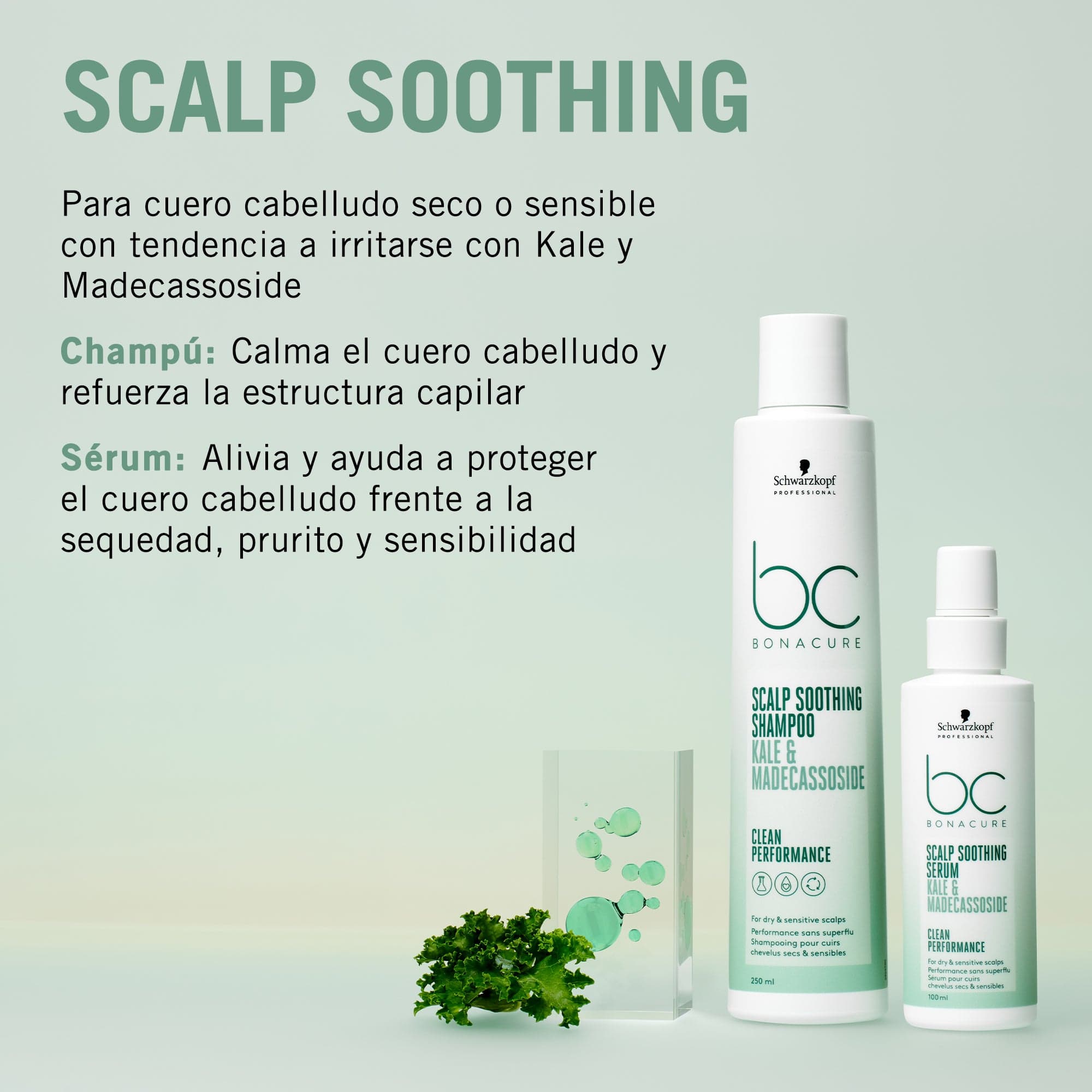 BC Bonacure Shampoo Bonacure Scalp Genesis Champú Calmante 1000ml Roberta Beauty Club Tienda Online Productos de Peluqueria