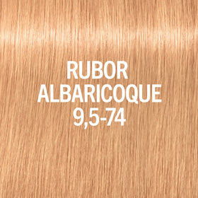 Blondme Tinte Permanente BLONDME Matizador de Brillo, tono Rubor Albaricoque 9.5-74 60ml Roberta Beauty Club Tienda Online Productos de Peluqueria