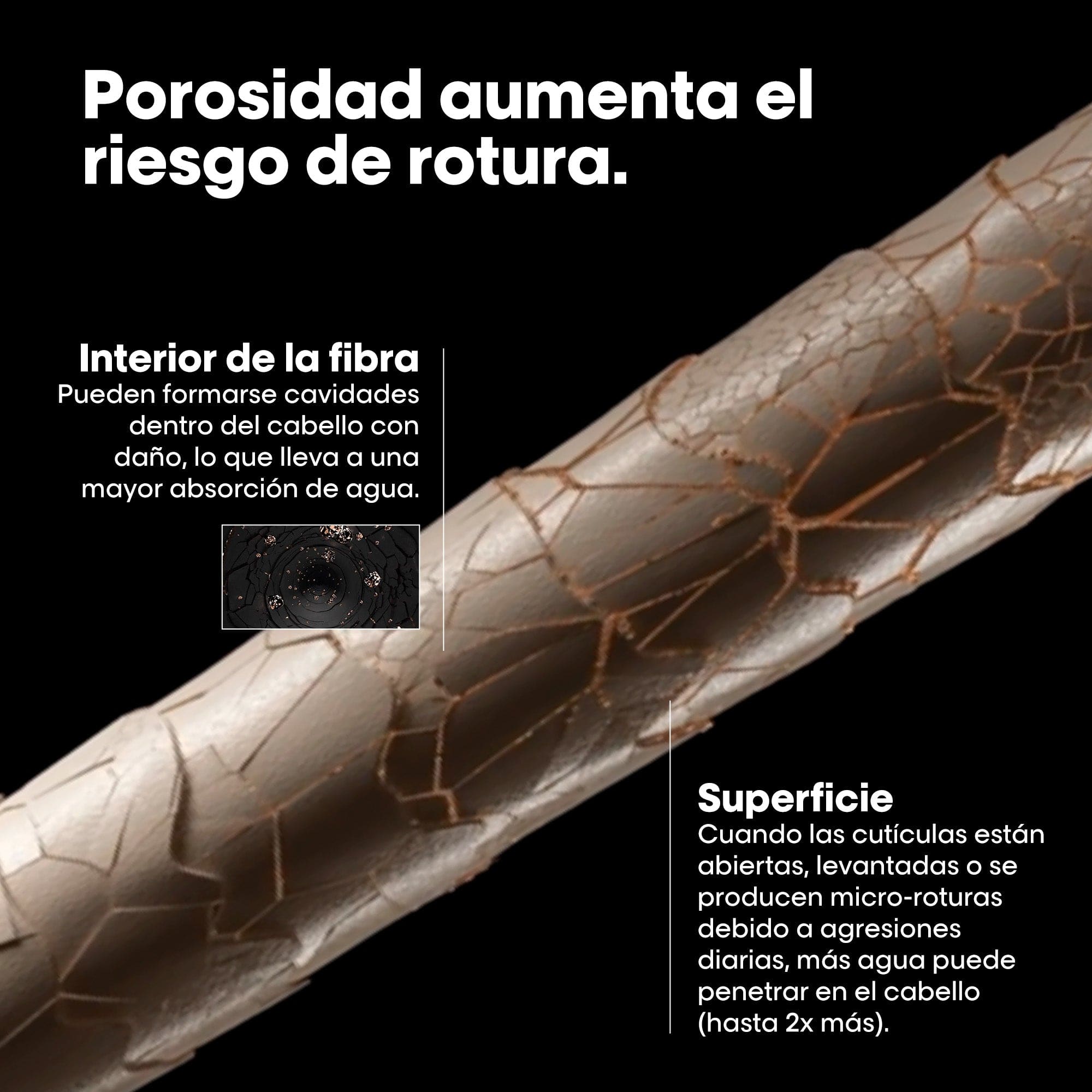 L'Oréal Professionnel Tratamiento Tratamiento Pre-Champú Metal Detox 250ml Roberta Beauty Club Tienda Online Productos de Peluqueria
