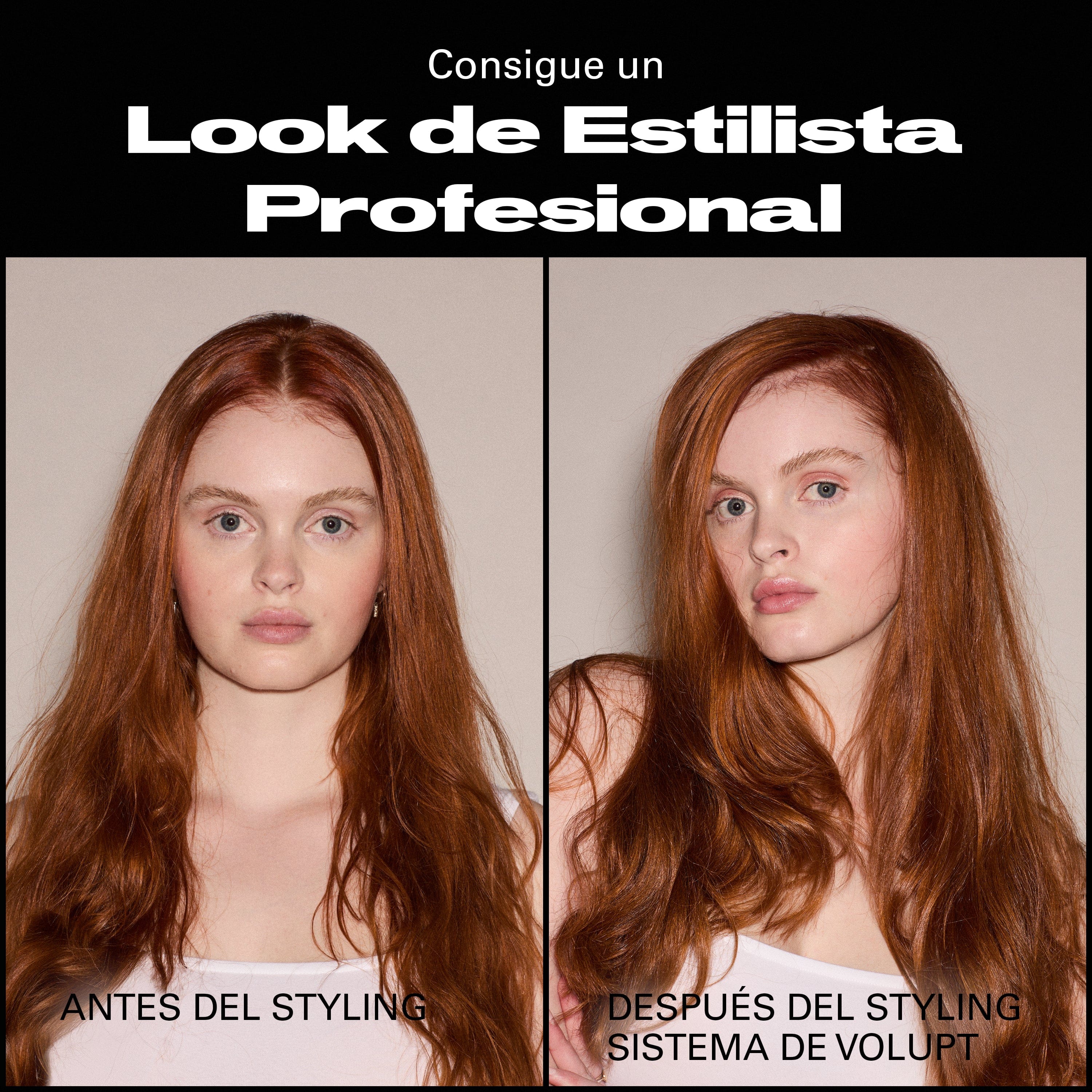 Sebastian Champú Sebastian Professional Volupt Champú 1000ml Roberta Beauty Club Tienda Online Productos de Peluqueria