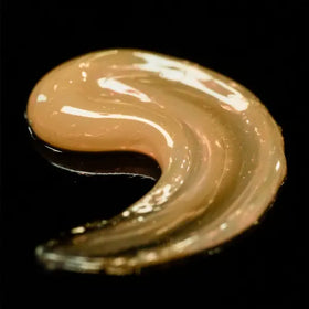 Sebastian Tratamiento Sebastian Professional Cellophanes HoneyComb Blond Roberta Beauty Club Tienda Online Productos de Peluqueria