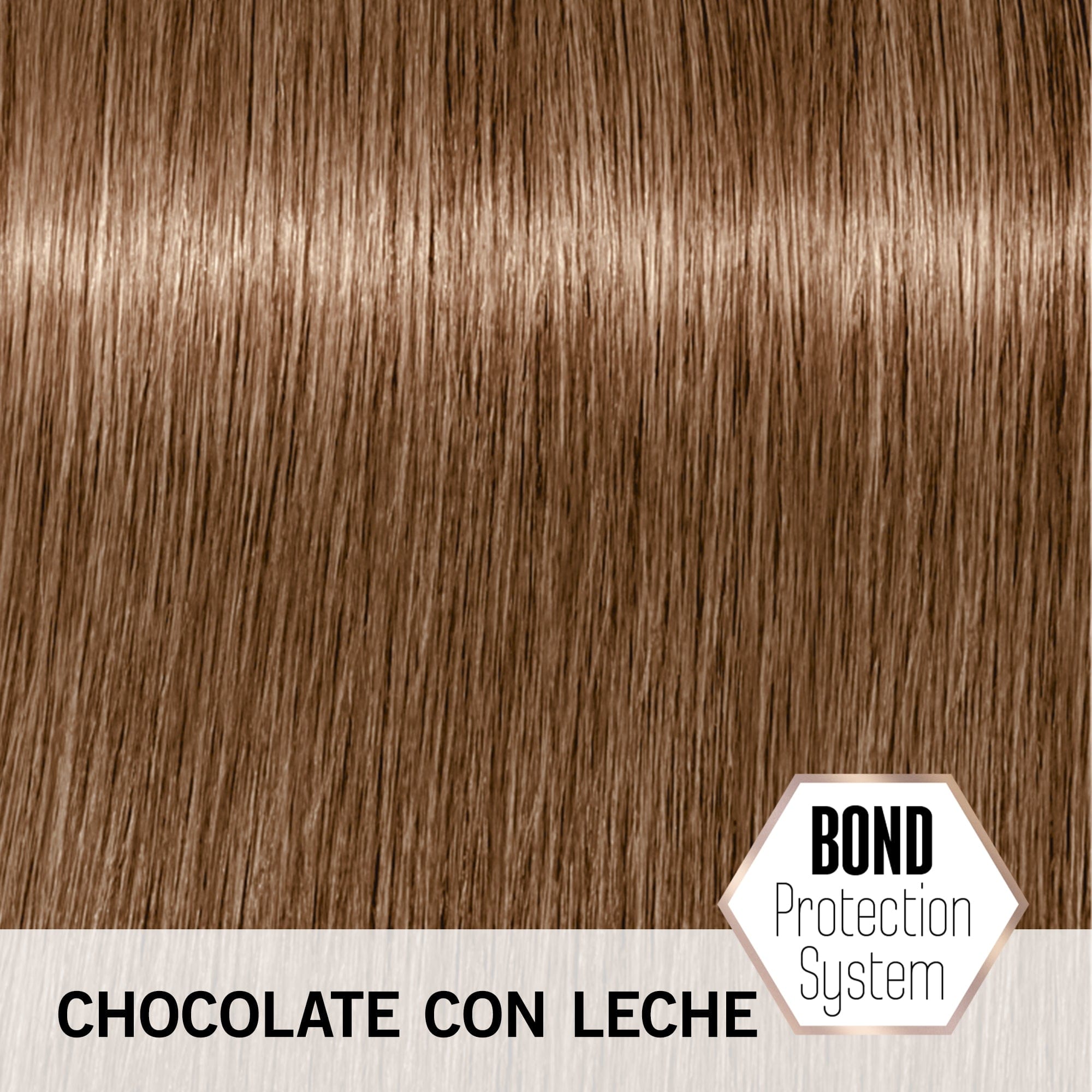 BLONDME Matiz BLONDME Matización Intensa Tono Chocolate con Leche 60ml Roberta Beauty Club Tienda Online Productos de Peluqueria