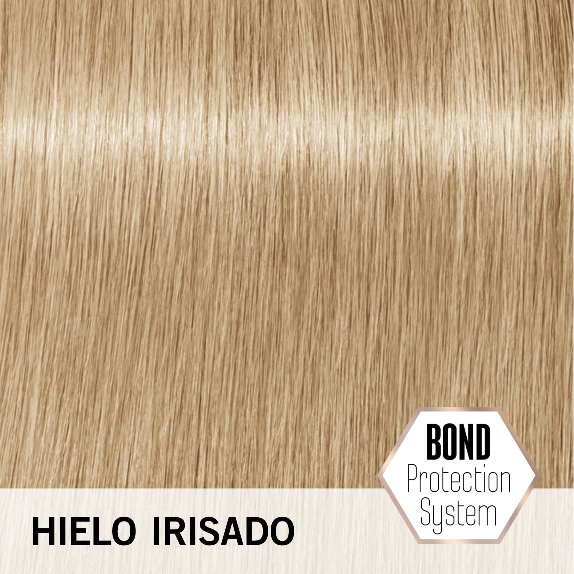 BLONDME Superaclarante BLONDME Aclaración de Rubios Tono Hielo Irisado 60 ml Roberta Beauty Club Tienda Online Productos de Peluqueria