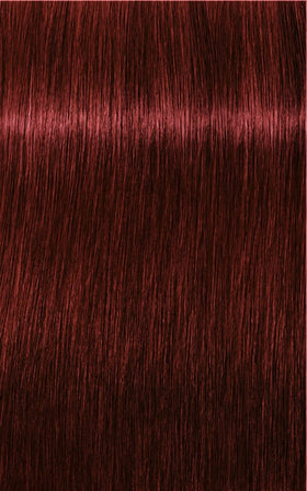 Igora Tinte IGORA ROYAL 5-88 Castaño Claro Rojo Intenso 60ml Roberta Beauty Club Tienda Online Productos de Peluqueria