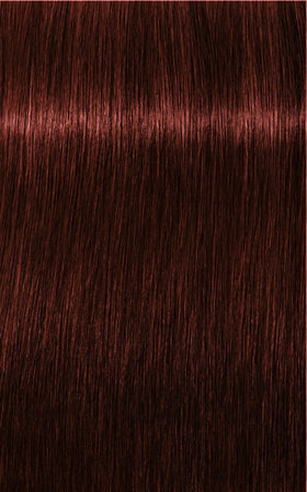 Igora Tinte IGORA ROYAL Absolutes 5-80 Castaño Claro Rojo Natural 60ml Roberta Beauty Club Tienda Online Productos de Peluqueria