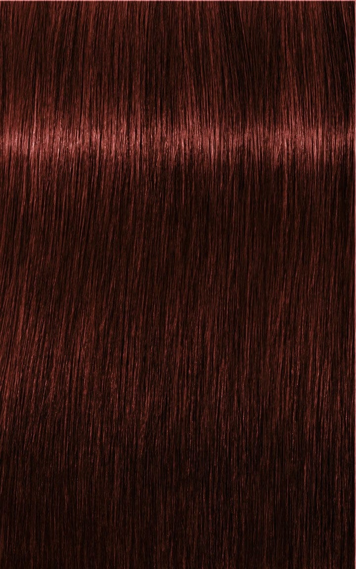 Igora Tinte IGORA ROYAL Absolutes 5-80 Castaño Claro Rojo Natural 60ml Roberta Beauty Club Tienda Online Productos de Peluqueria