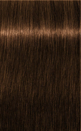 Igora Tinte IGORA ROYAL Absolutes 6-50 Rubio Oscuro Dorado Natural 60ml Roberta Beauty Club Tienda Online Productos de Peluqueria