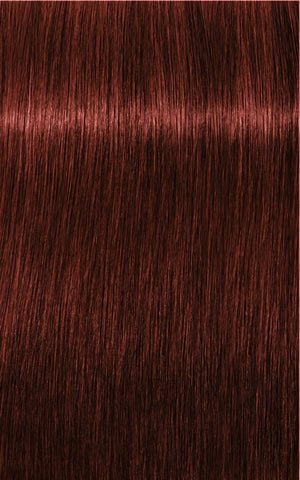 Igora Tinte IGORA ROYAL Absolutes 6-80 Rubio Oscuro Rojo Natural 60ml Roberta Beauty Club Tienda Online Productos de Peluqueria