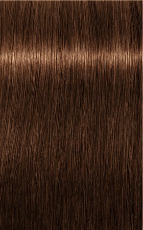 Igora Tinte IGORA ROYAL Absolutes Age Blend 6-460 Rubio Oscuro Beige Chocolate Natural 60ml Roberta Beauty Club Tienda Online Productos de Peluqueria