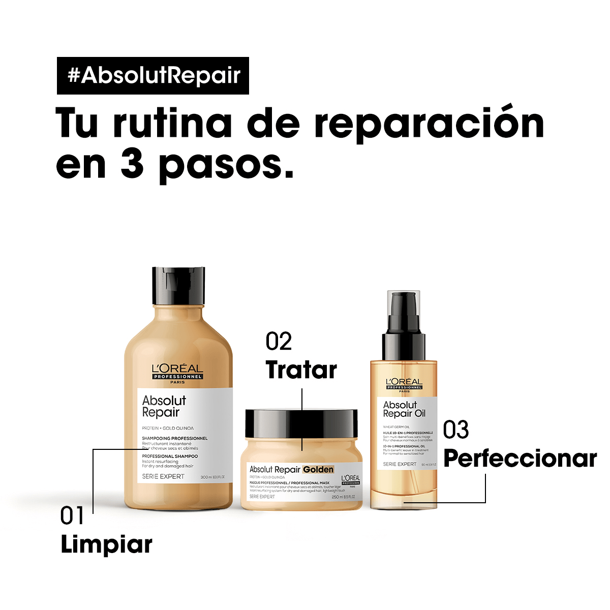 L'Oréal Professionnel Hair Care Mascarilla Dorada Absolut Repair 250ml Roberta Beauty Club