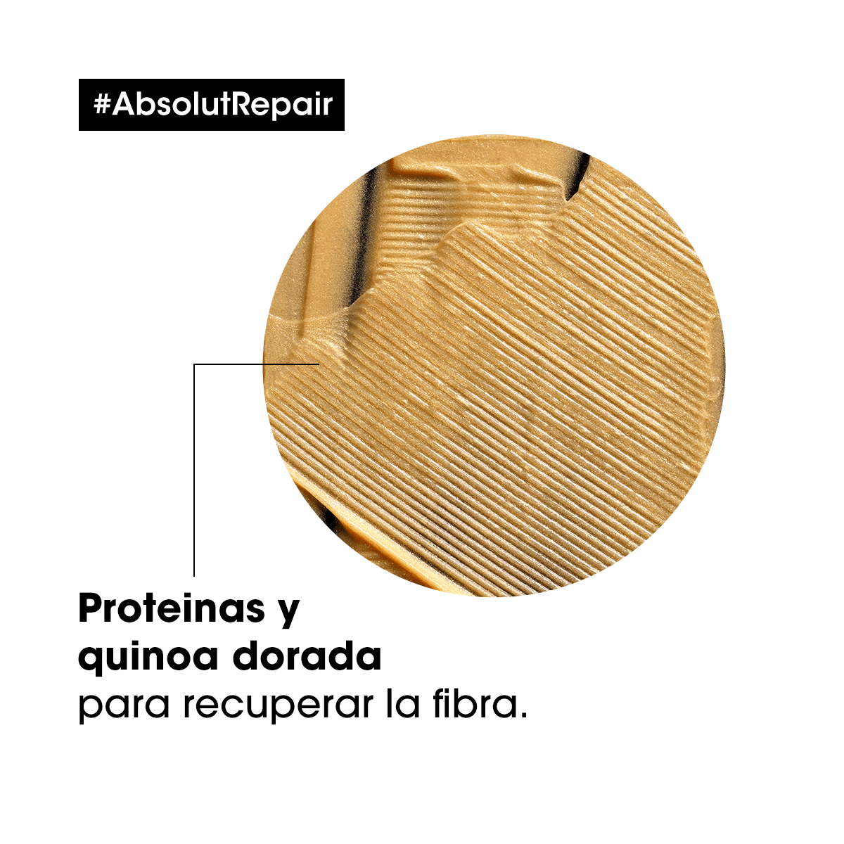 L'Oréal Professionnel Hair Care Mascarilla Dorada Absolut Repair 250ml Roberta Beauty Club