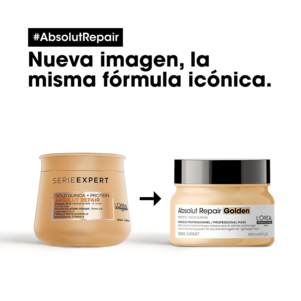 L'Oréal Professionnel Hair Care Mascarilla Dorada Absolut Repair 250ml Roberta Beauty Club